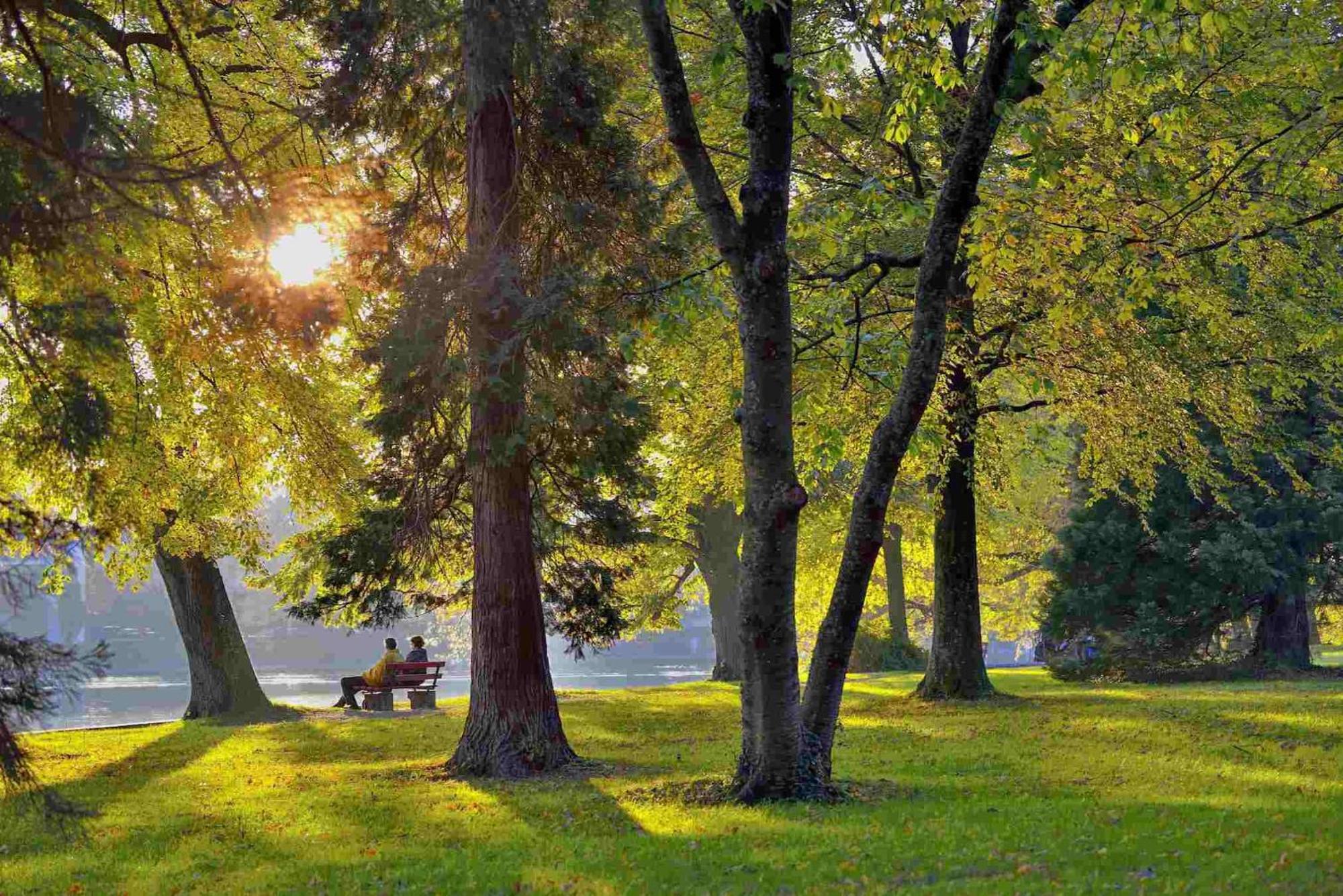 Ferienwohnung Luxus Am Toskanapark Линдау Экстерьер фото